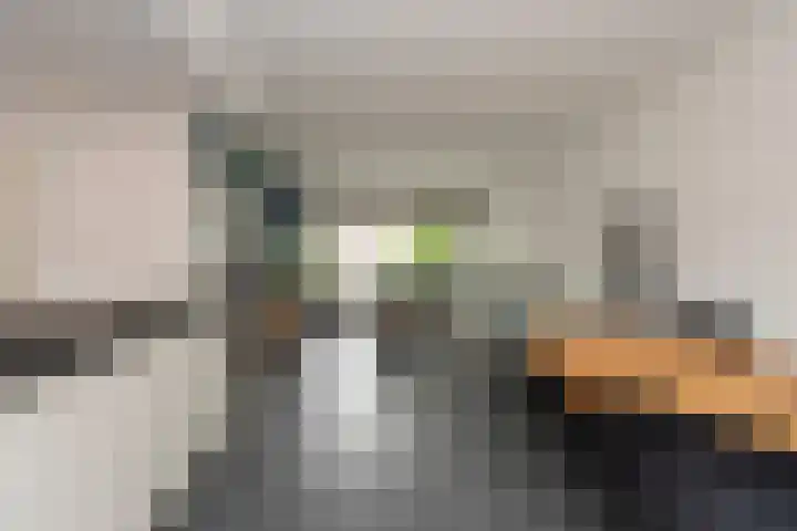 Strausslaan 37 Tilburg thumbnail 13