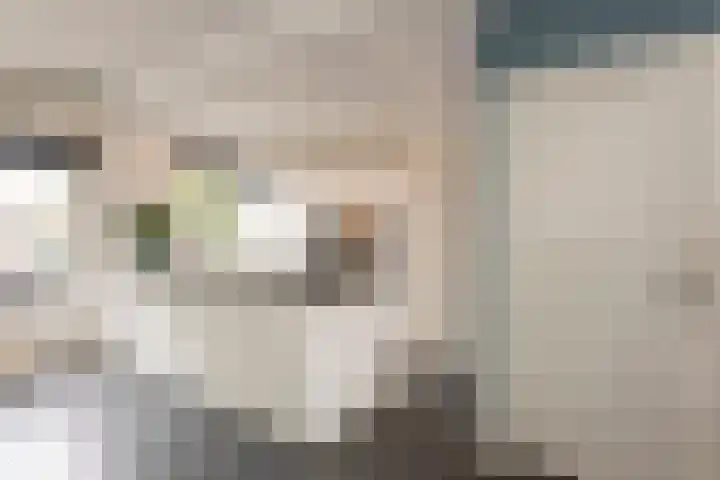 Strausslaan 37 Tilburg thumbnail 14