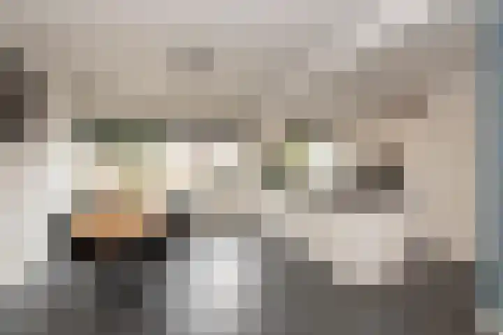Strausslaan 37 Tilburg thumbnail 15