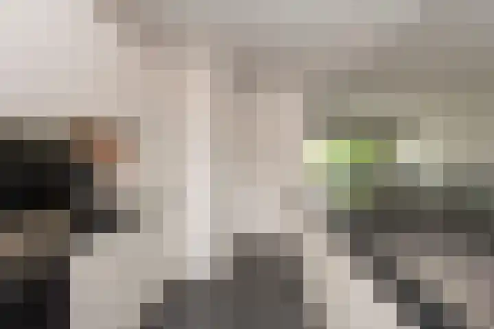 Strausslaan 37 Tilburg thumbnail 17
