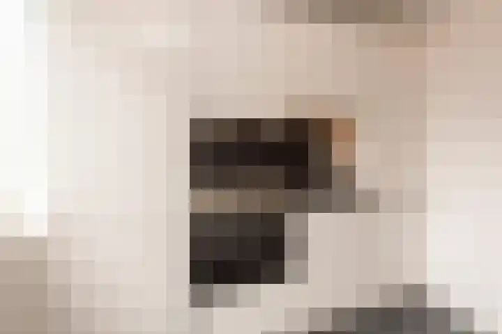 Strausslaan 37 Tilburg thumbnail 18