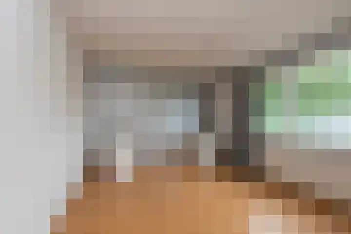 Strausslaan 37 Tilburg thumbnail 21