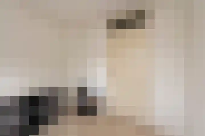 Strausslaan 37 Tilburg thumbnail 27