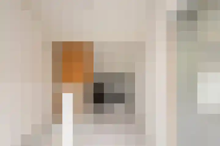 Strausslaan 37 Tilburg thumbnail 34
