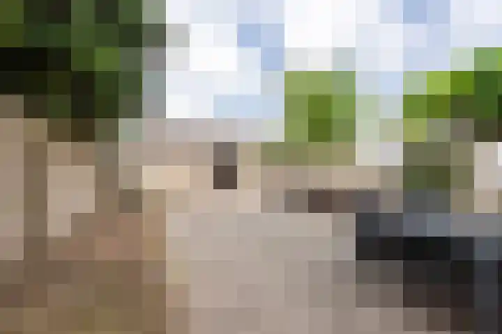 Strausslaan 37 Tilburg thumbnail 35