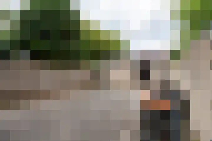 Strausslaan 37 Tilburg thumbnail 36