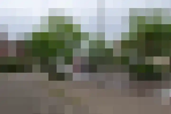 Strausslaan 37 Tilburg thumbnail 40