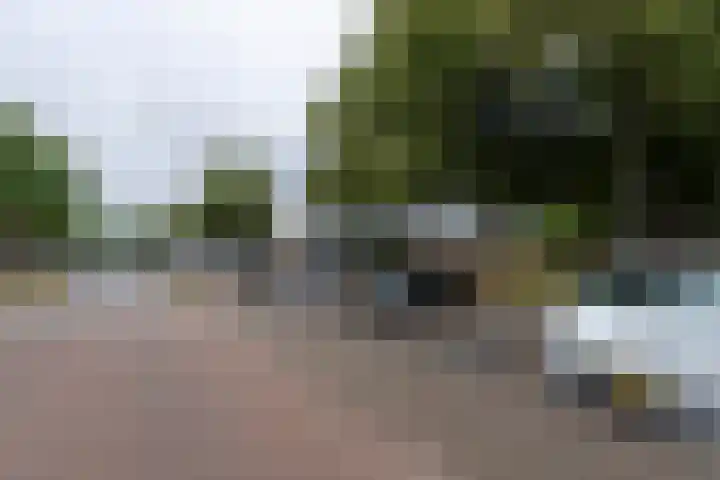 Strausslaan 37 Tilburg thumbnail 41