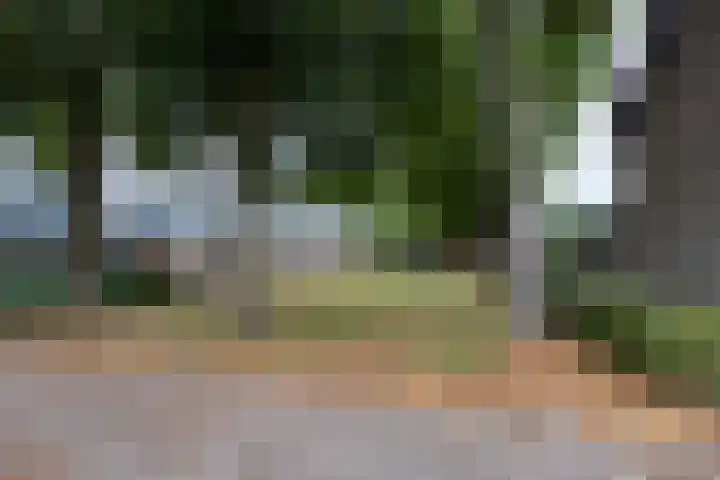 Strausslaan 37 Tilburg thumbnail 42