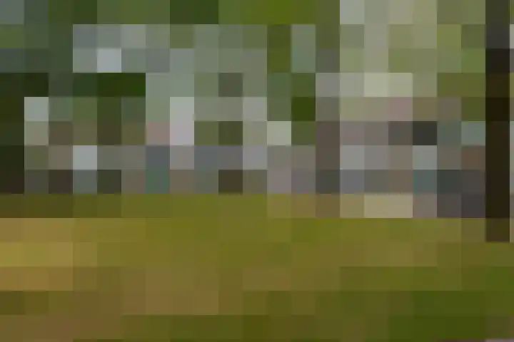 Strausslaan 37 Tilburg thumbnail 43