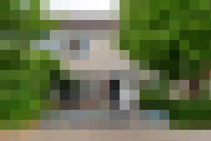 Strausslaan 37 Tilburg thumbnail 48