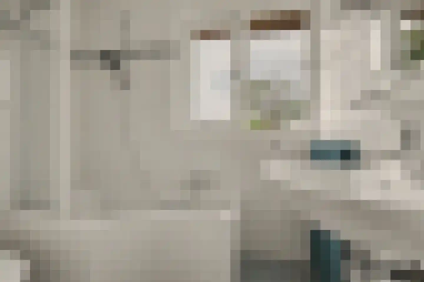 Strausslaan 38 Vlijmen thumbnail 19