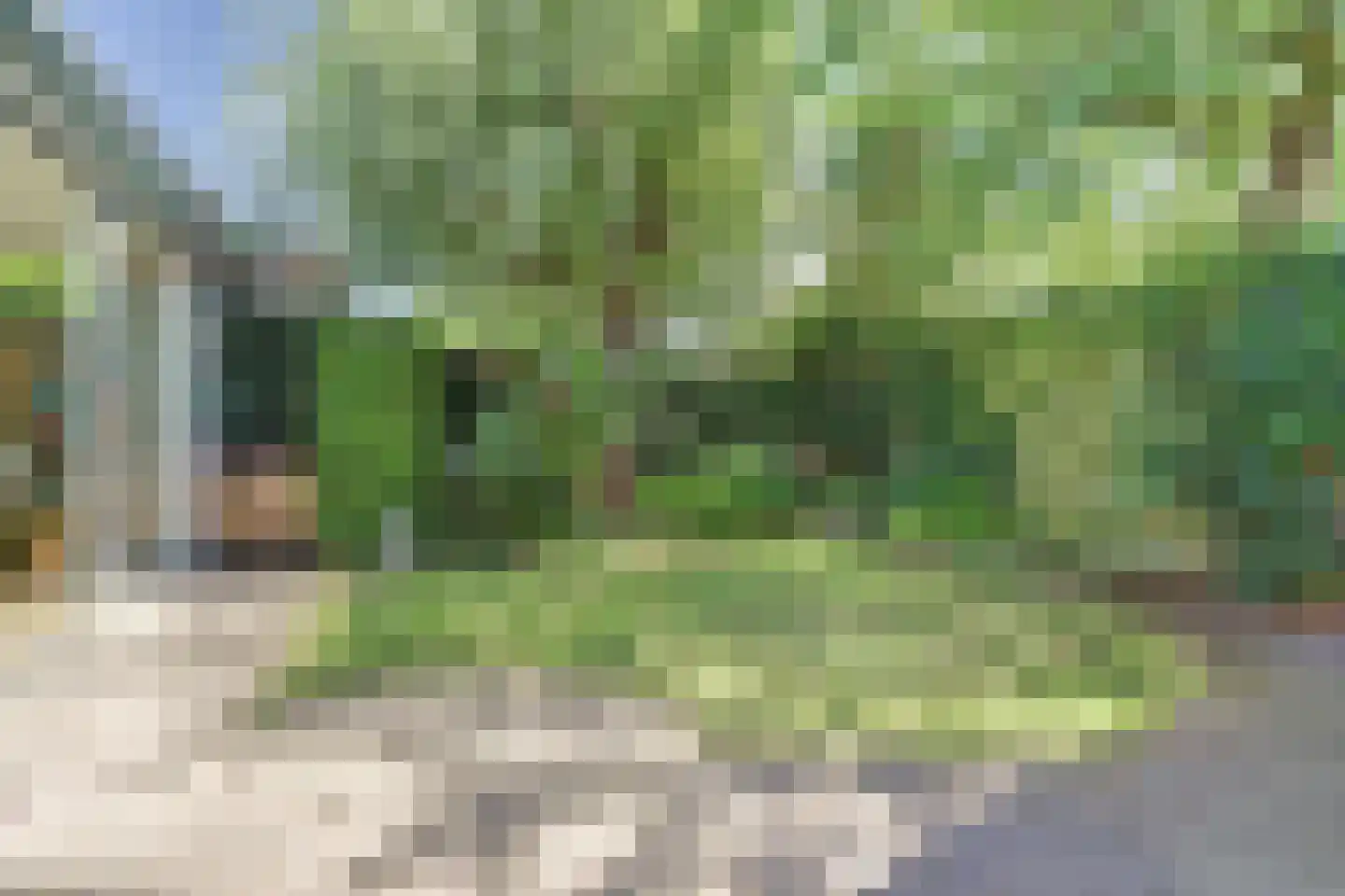 Strausslaan 38 Vlijmen thumbnail 30