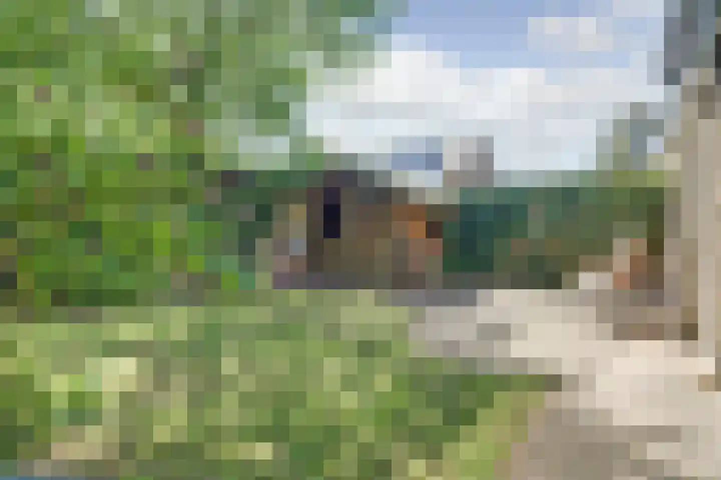 Strausslaan 38 Vlijmen thumbnail 33