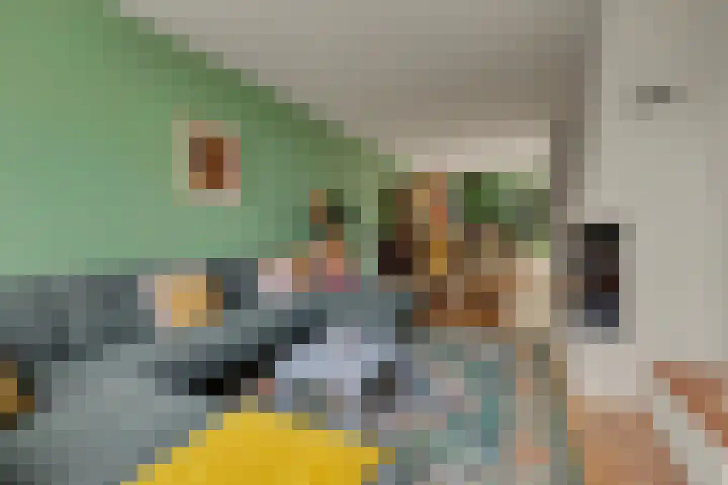 Strausslaan 38 Vlijmen thumbnail 4