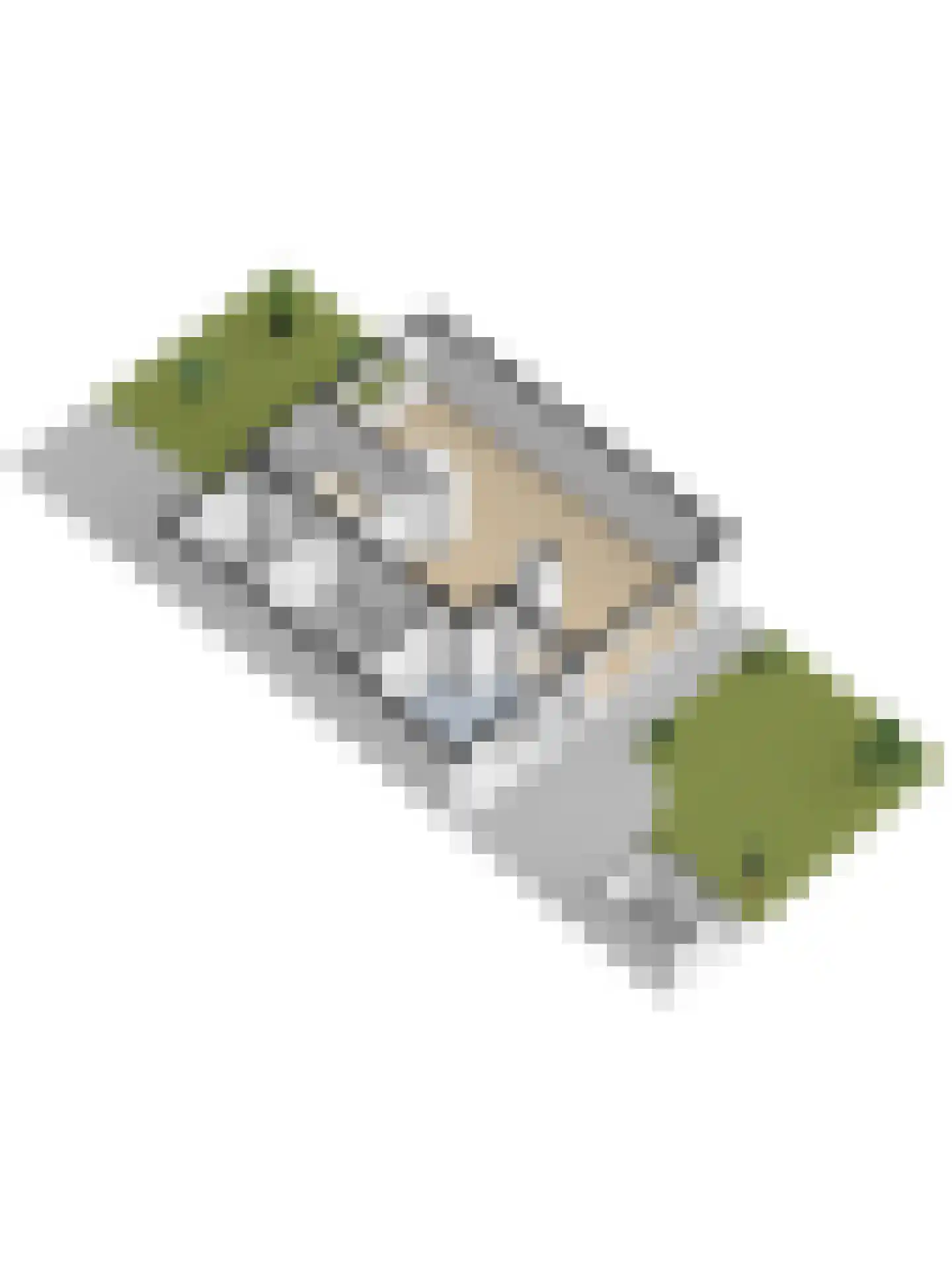 Strausslaan 38 Vlijmen thumbnail 50