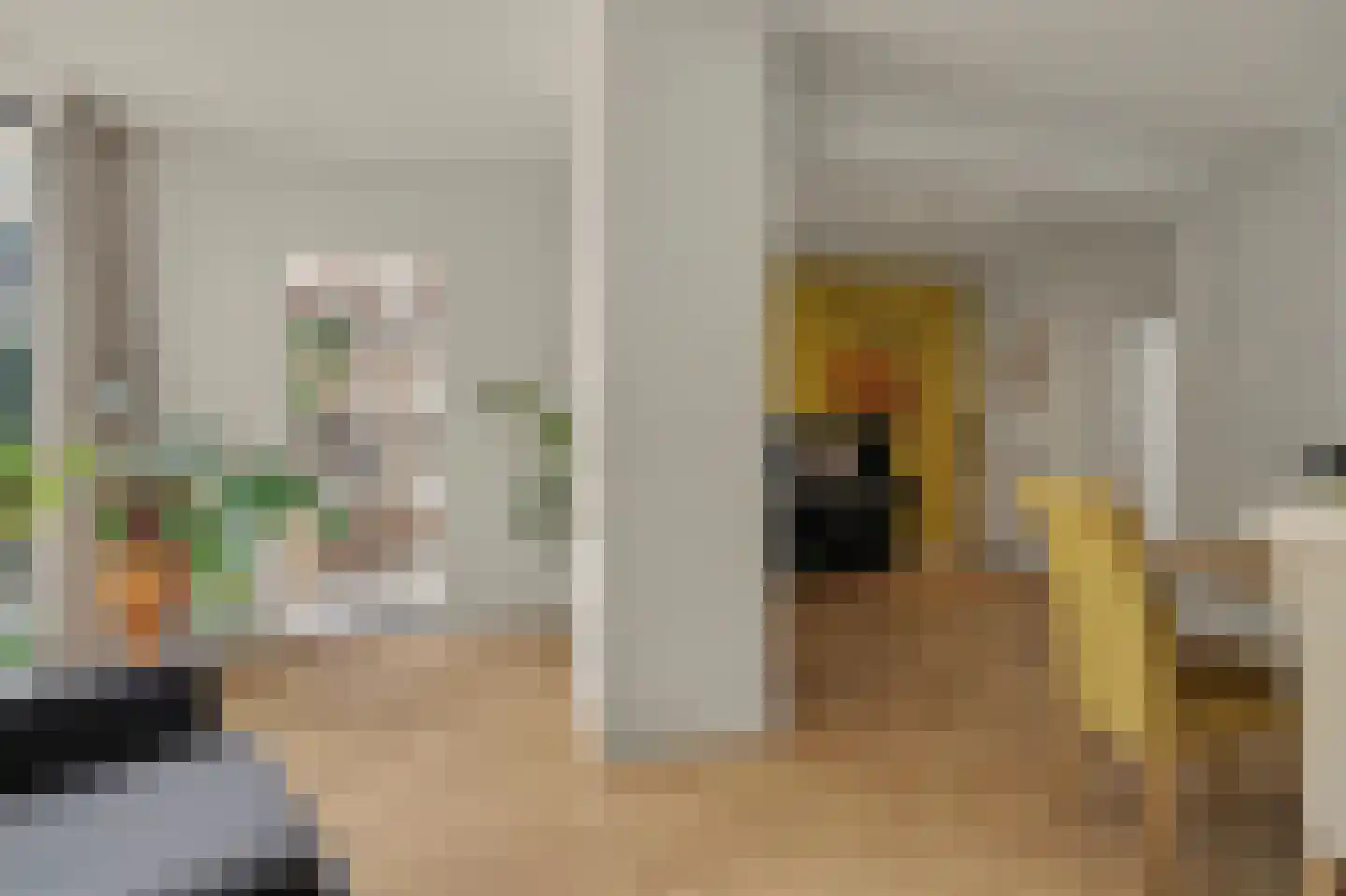 Strausslaan 38 Vlijmen thumbnail 9