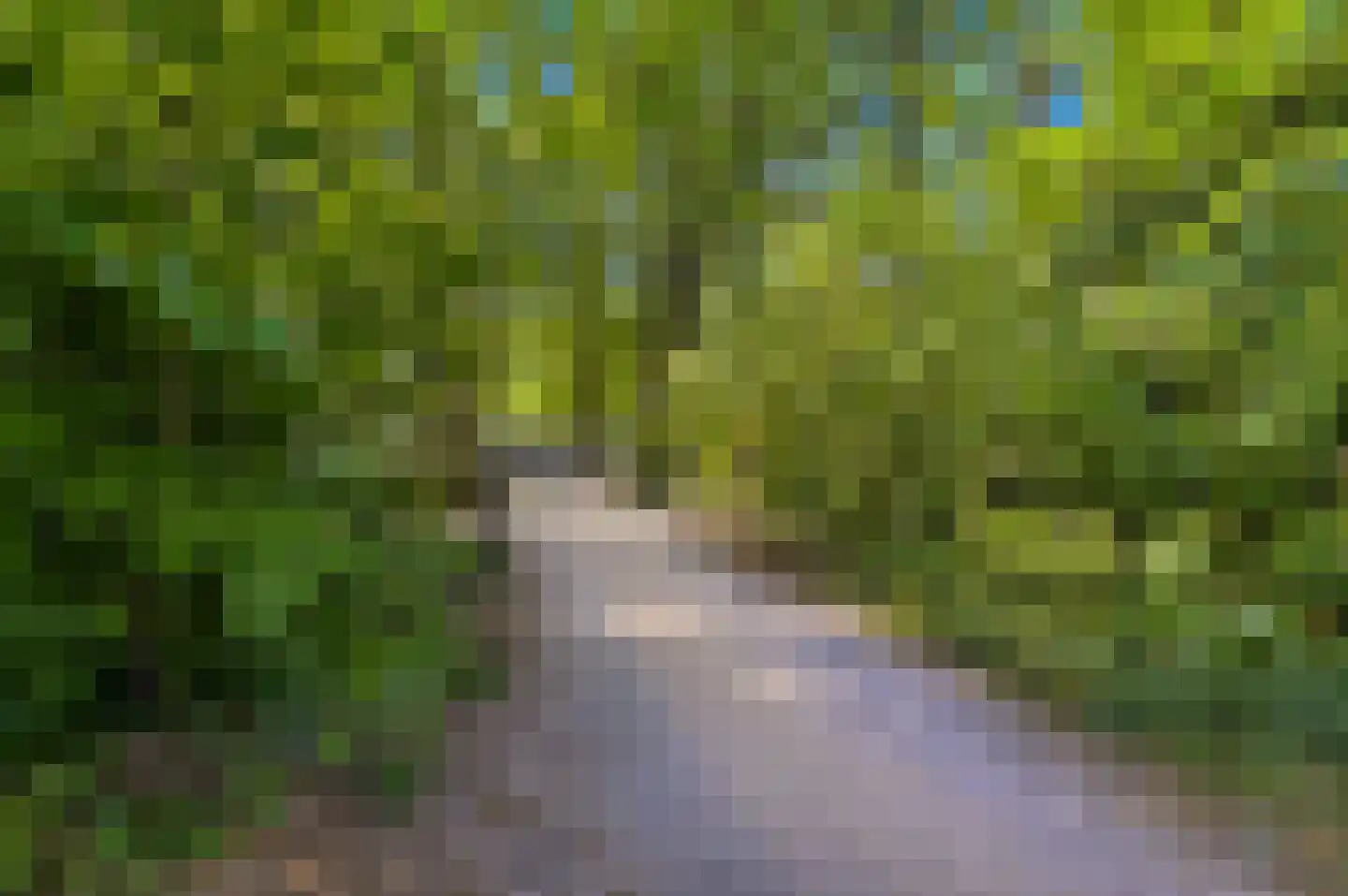 Strausslaan 39 Apeldoorn thumbnail 22