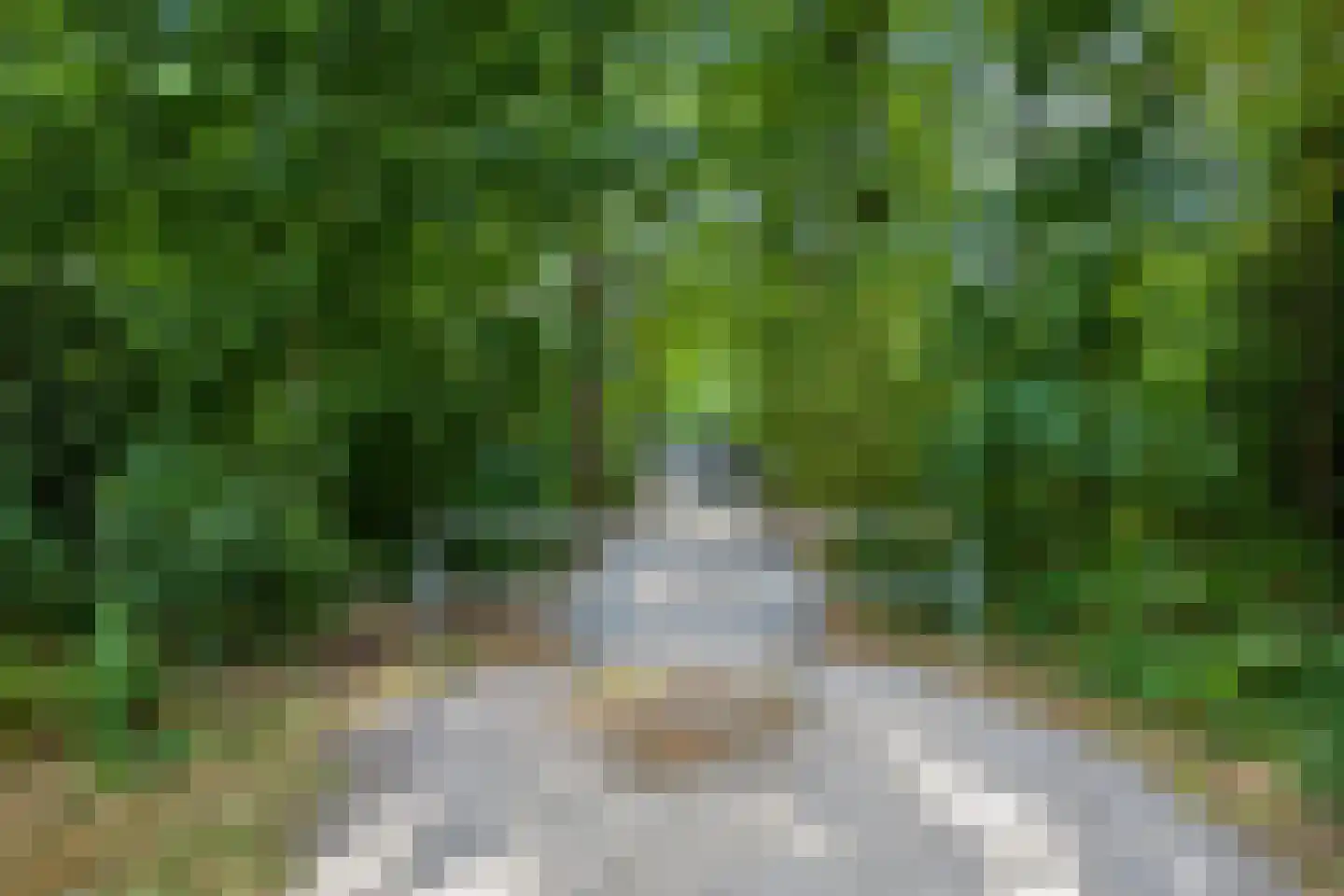 Strausslaan 43 Apeldoorn thumbnail 36