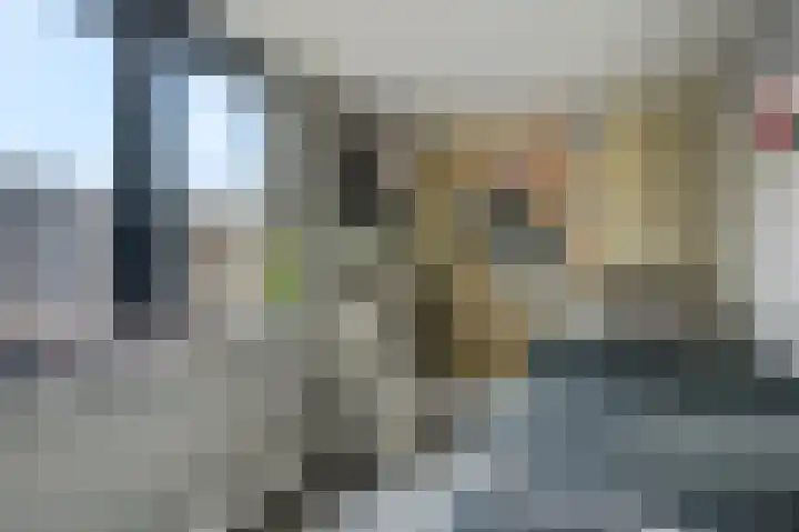 Strausslaan 43 Voorthuizen thumbnail 14