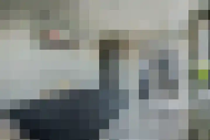 Strausslaan 43 Voorthuizen thumbnail 16