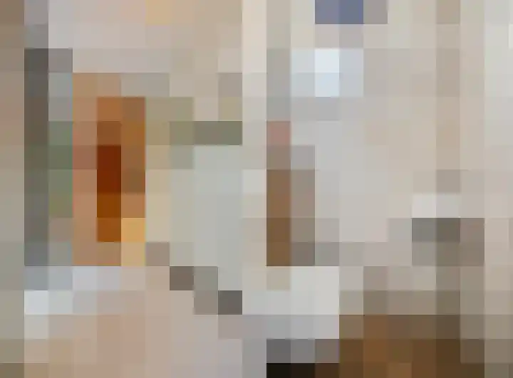 Strausslaan 43 Voorthuizen thumbnail 17