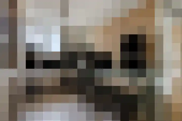 Strausslaan 43 Voorthuizen thumbnail 22