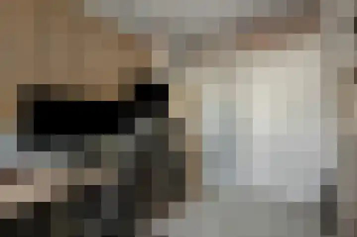 Strausslaan 43 Voorthuizen thumbnail 23