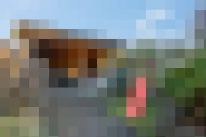 Strausslaan 43 Voorthuizen thumbnail 33