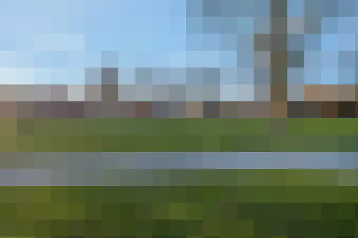 Strausslaan 43 Voorthuizen thumbnail 36
