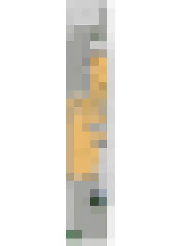 Strausslaan 43 Voorthuizen thumbnail 41