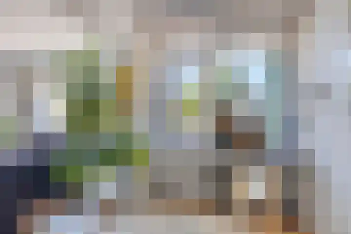Strausslaan 44 Groningen thumbnail 11