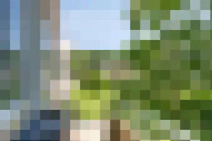 Strausslaan 44 Groningen thumbnail 19
