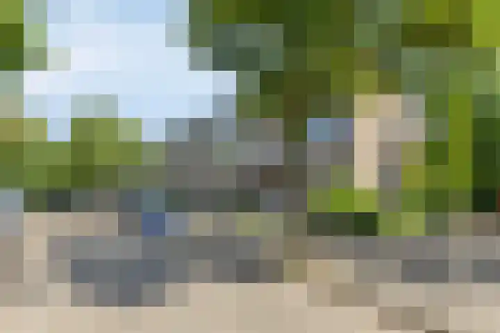 Strausslaan 44 Groningen thumbnail 30
