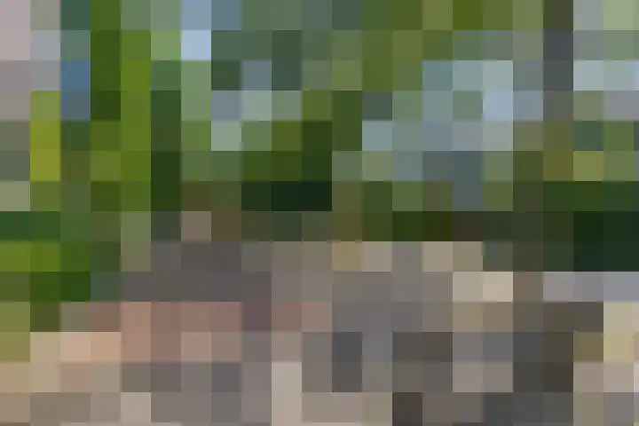 Strausslaan 44 Groningen thumbnail 31