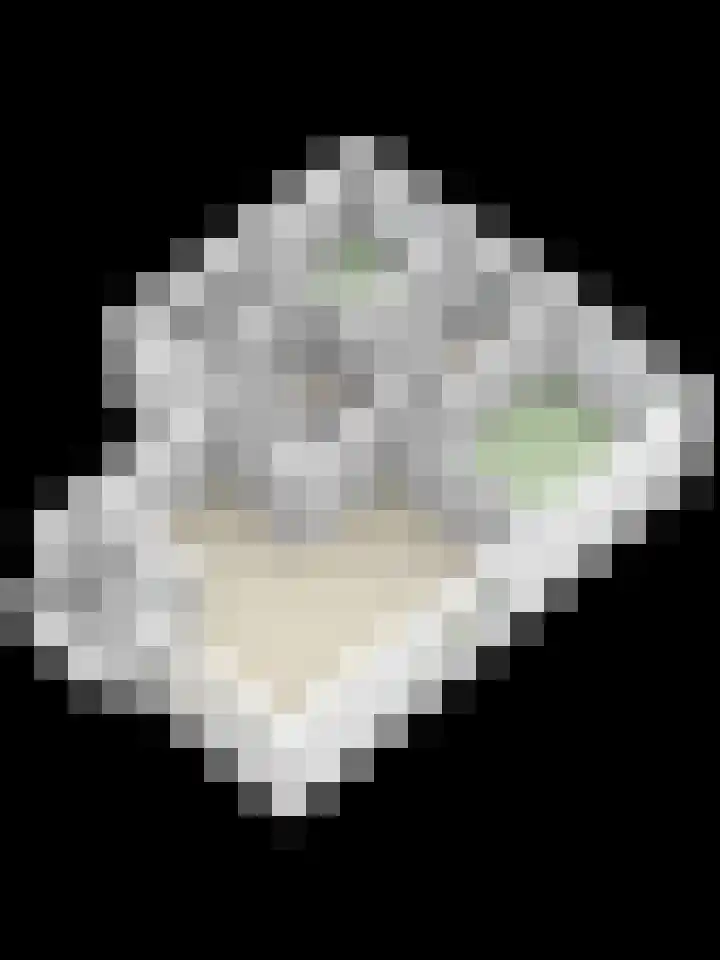 Strausslaan 44 Groningen thumbnail 33