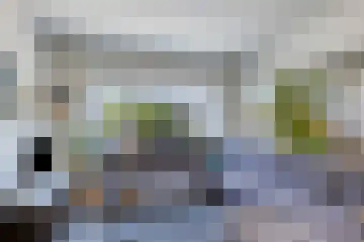 Strausslaan 44 Groningen thumbnail 7