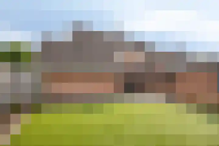 Strausslaan 45 Heesch thumbnail 38