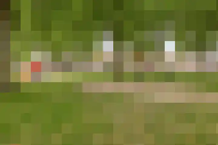 Strausslaan 45 Heesch thumbnail 41