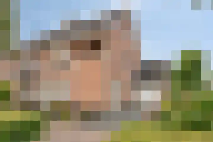 Strausslaan 45 Heesch thumbnail 52