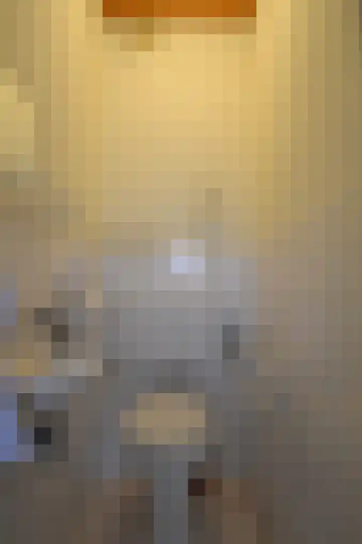 Strausslaan 50 Deurne thumbnail 12