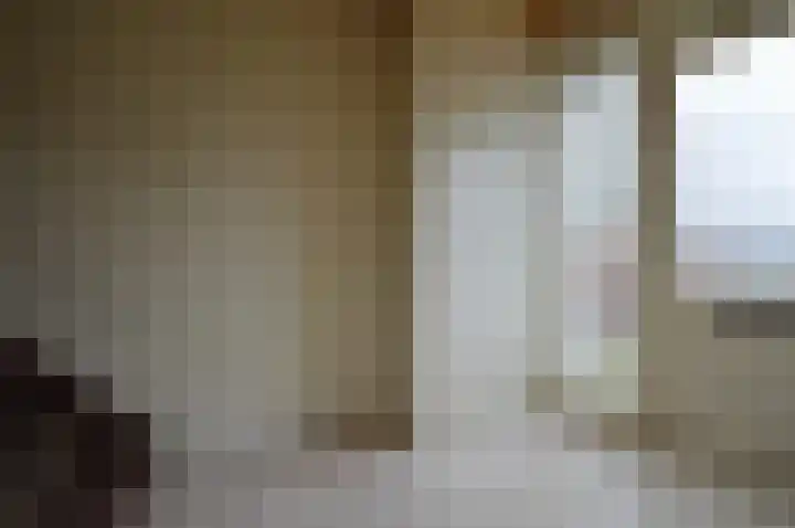 Strausslaan 50 Deurne thumbnail 13