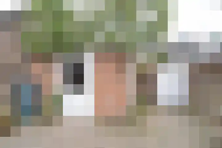 Strausslaan 50 Deurne thumbnail 23