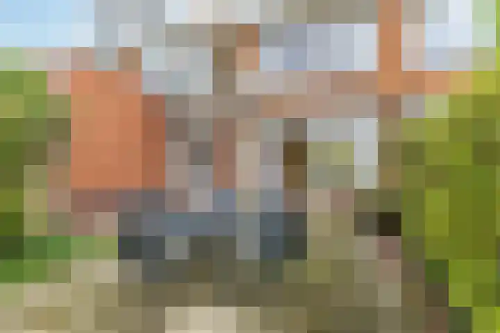 Strausslaan 59 Rotterdam thumbnail 11