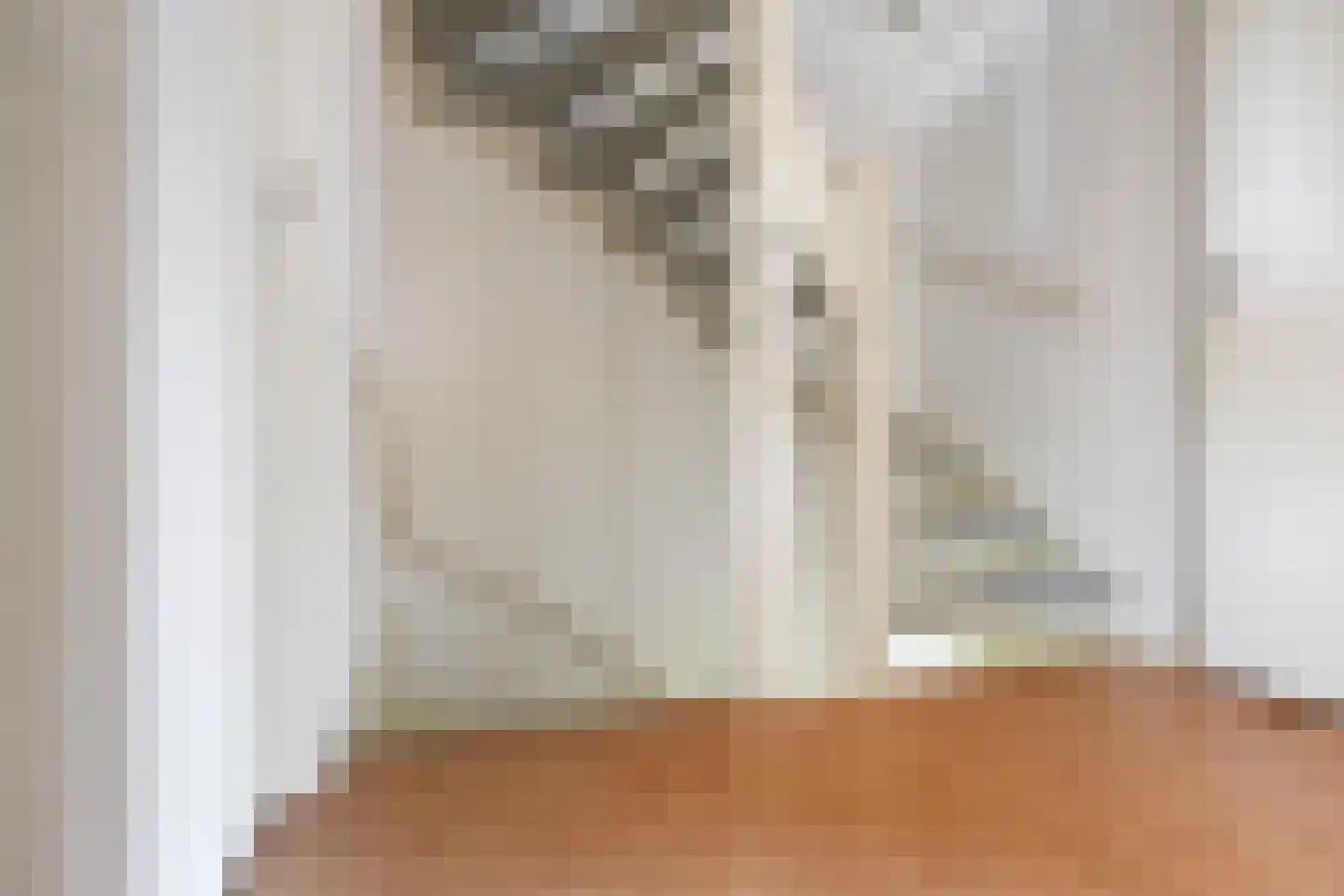 Strausslaan 59 Voorthuizen thumbnail 17