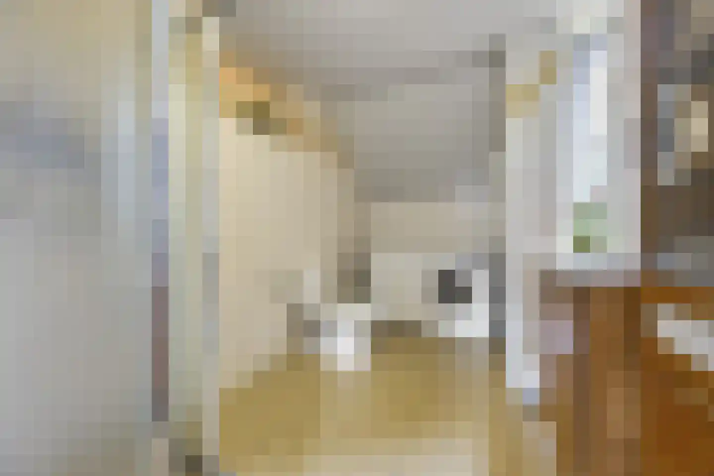 Strausslaan 59 Voorthuizen thumbnail 24