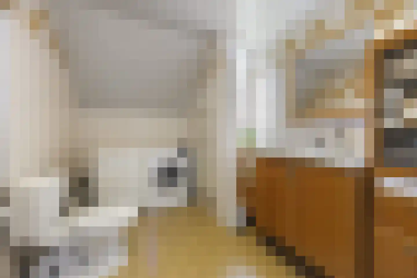 Strausslaan 59 Voorthuizen thumbnail 27
