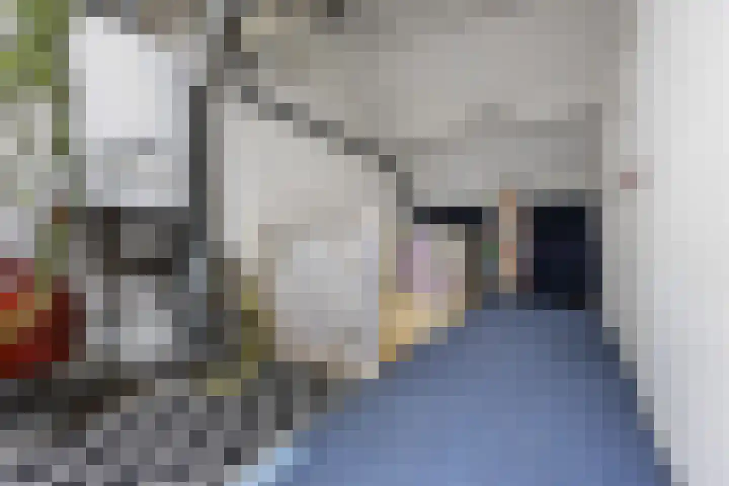 Strausslaan 59 Voorthuizen thumbnail 29