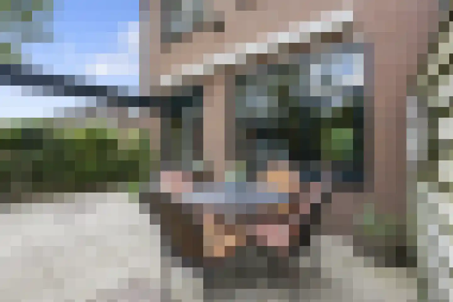 Strausslaan 59 Voorthuizen thumbnail 31