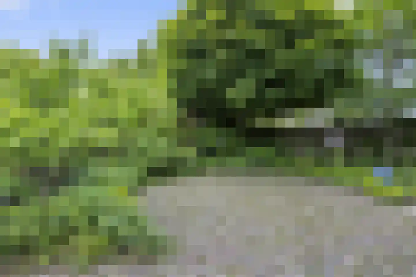 Strausslaan 59 Voorthuizen thumbnail 35